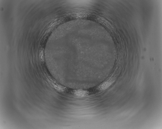 X0000076100336200610152349