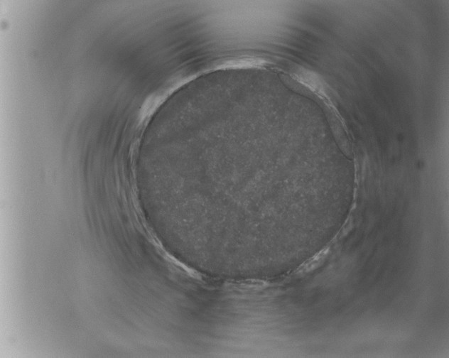 X0000076100337200610152349