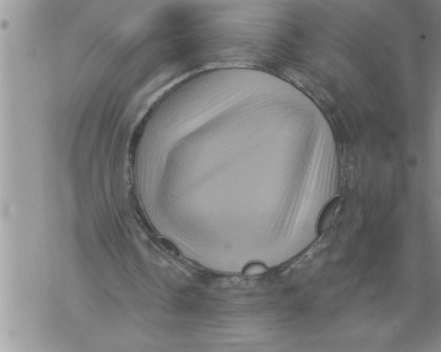 X0000076100338200610152349