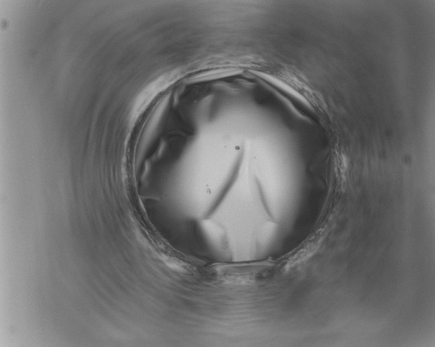 X0000076100340200610152349