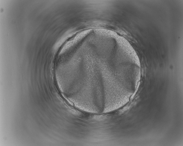 X0000076100341200610152349