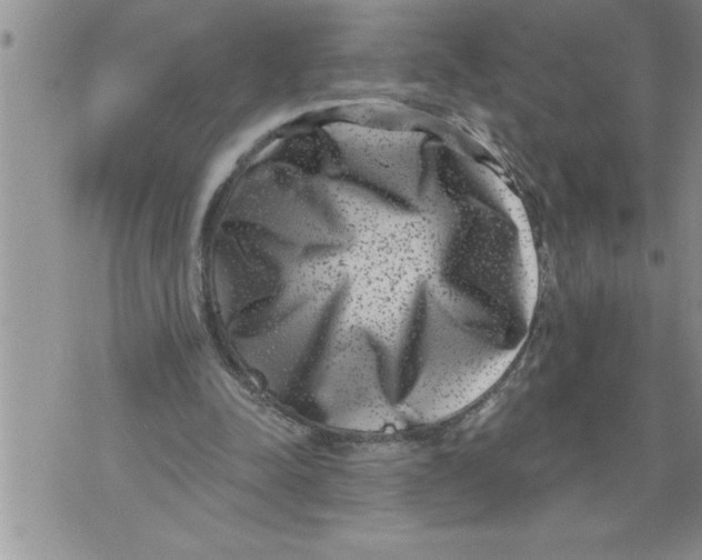 X0000076100342200610152349