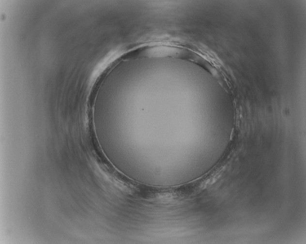 X0000076100344200610152349