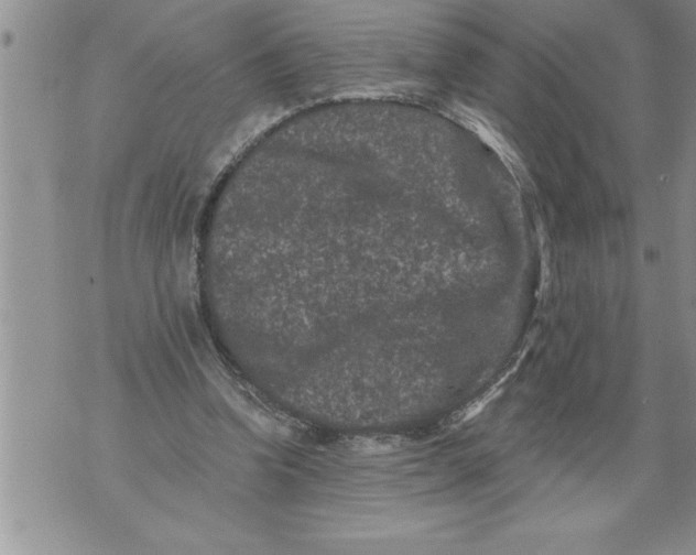 X0000076100346200610152349