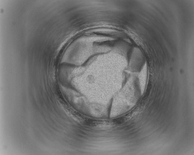 X0000076100347200610152349