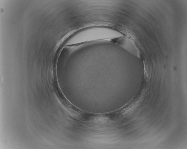 X0000076100348200610152349