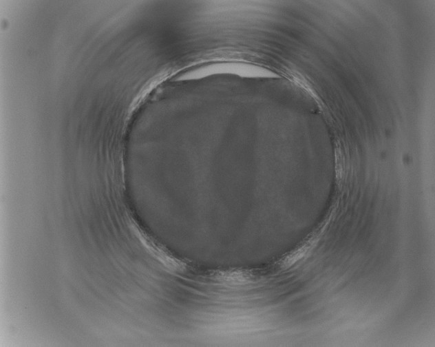 X0000076100349200610152349