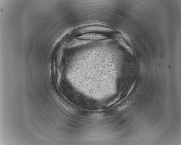 X0000076100350200610152349