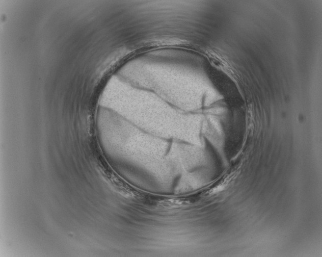 X0000076100351200610152349