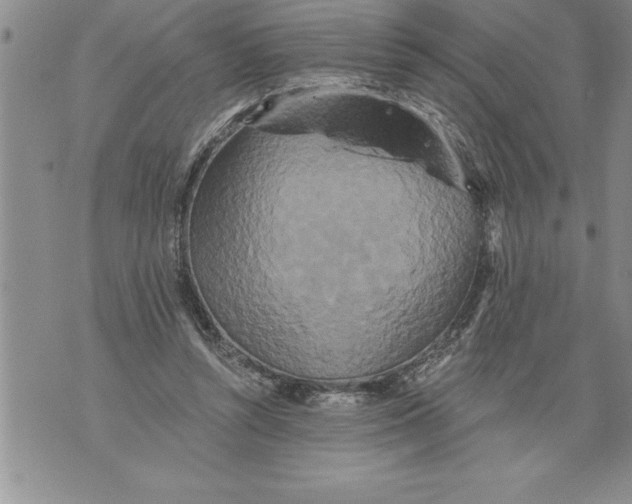 X0000076100352200610152349