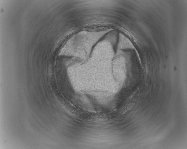 X0000076100353200610152349