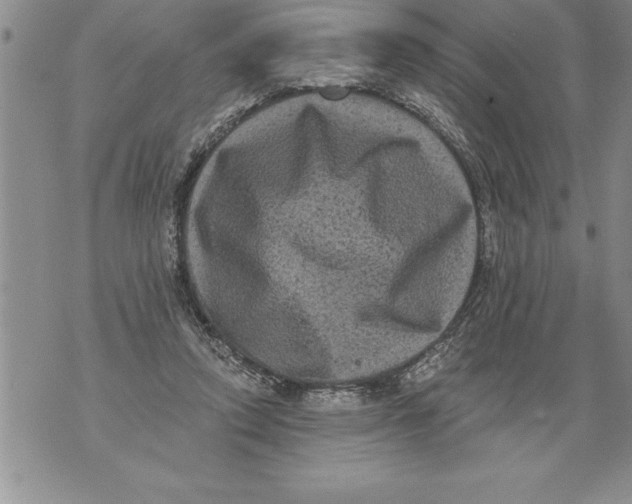 X0000076100354200610152349