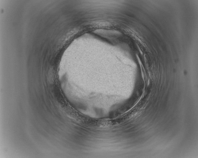 X0000076100355200610152349