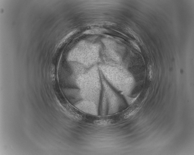 X0000076100356200610152349