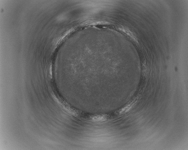 X0000076100358200610152349