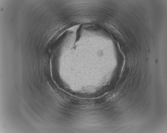 X0000076100359200610152349