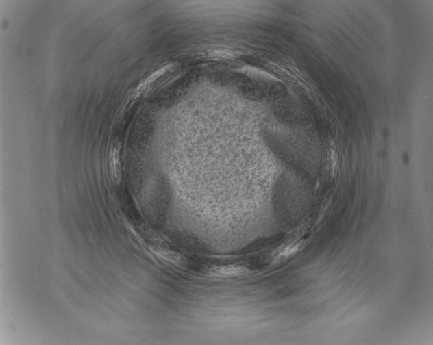 X0000076100360200610152349