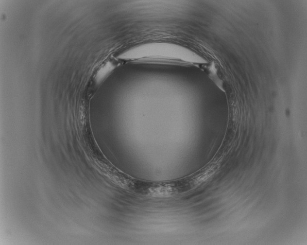 X0000076100362200610152349