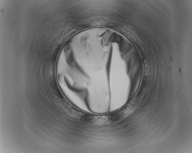 X0000076100363200610152349