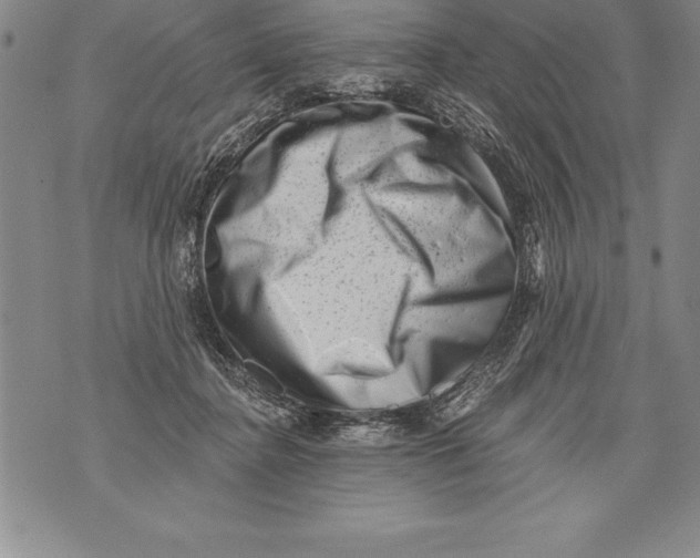 X0000076100364200610152349