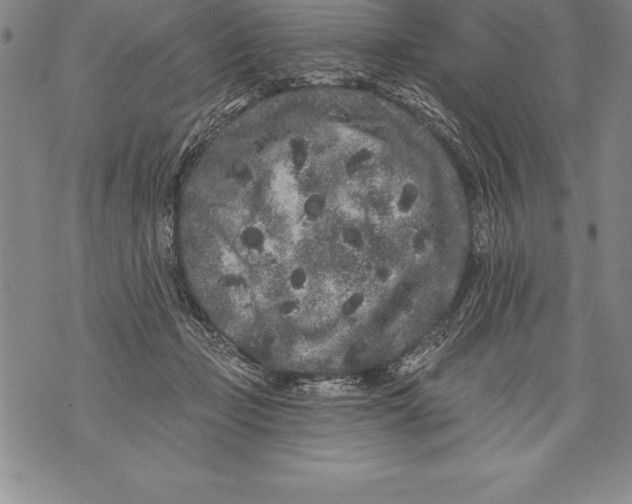 X0000076100365200610152349