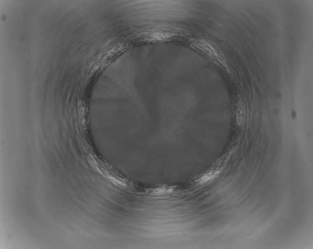 X0000076100366200610152349