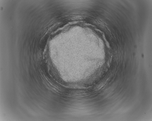 X0000076100367200610152349