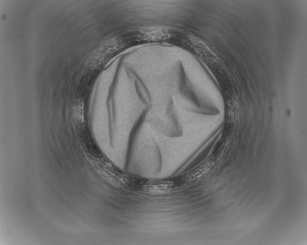 X0000076100368200610152349