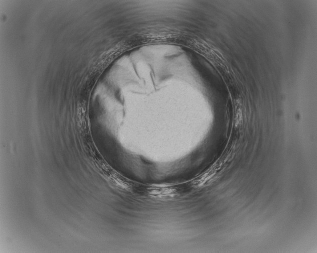 X0000076100369200610152349