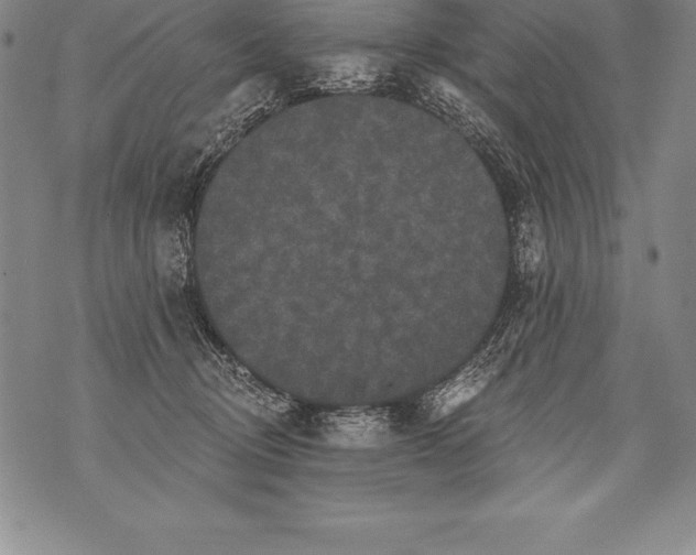 X0000076100370200610152349