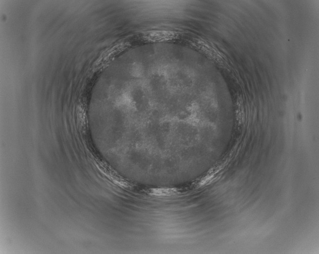 X0000076100371200610152349