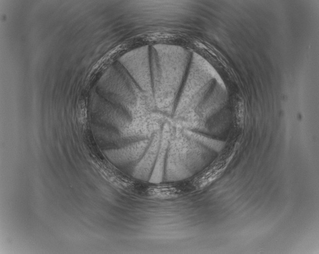 X0000076100372200610152349