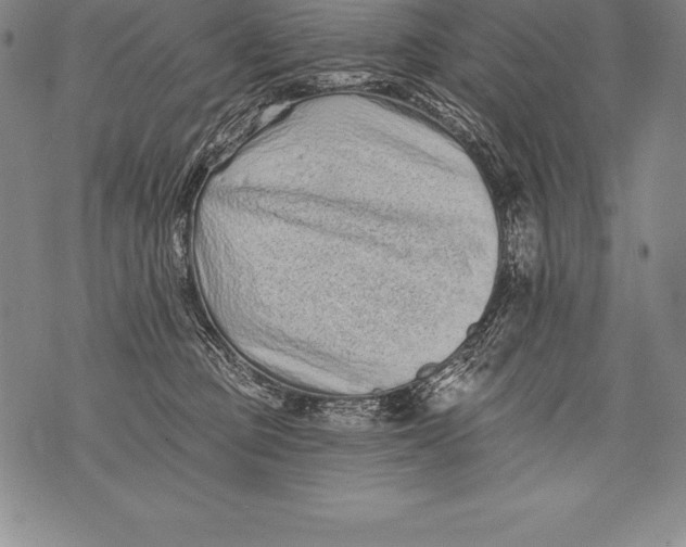 X0000076100373200610152349