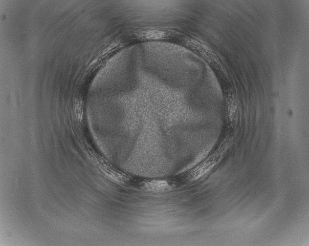 X0000076100374200610152349