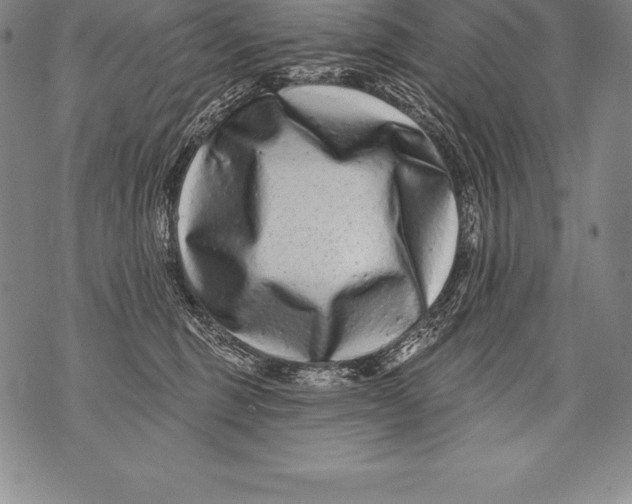 X0000076100375200610152349