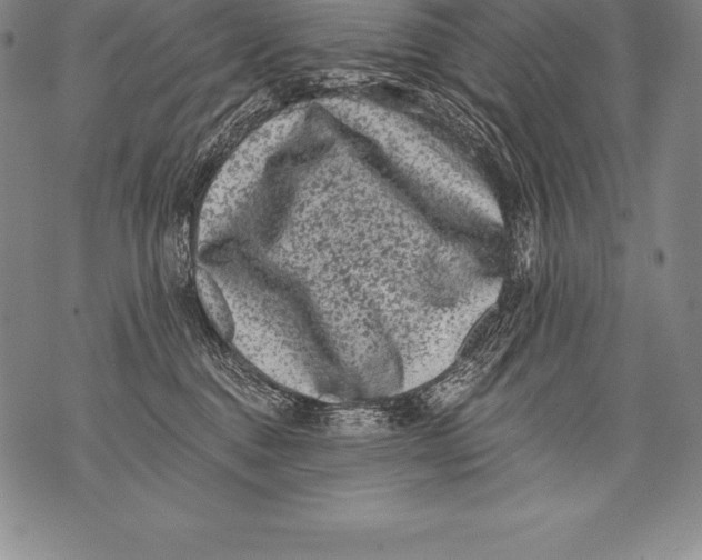 X0000076100376200610152349