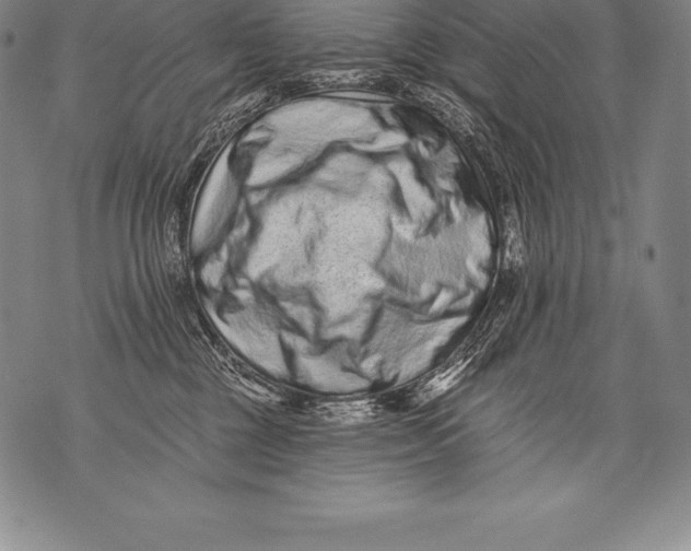 X0000076100377200610152349