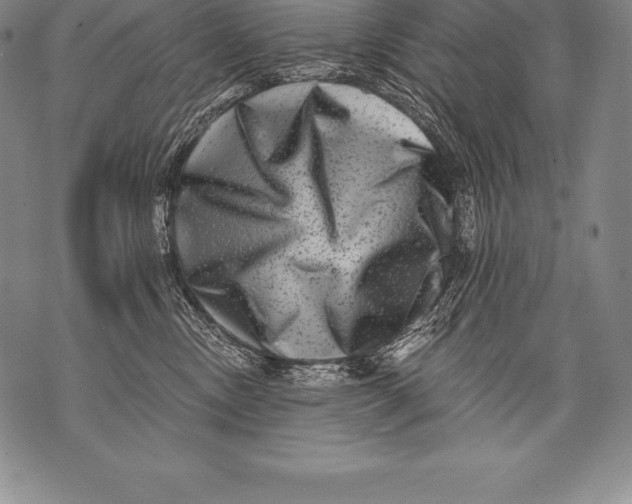 X0000076100378200610152349