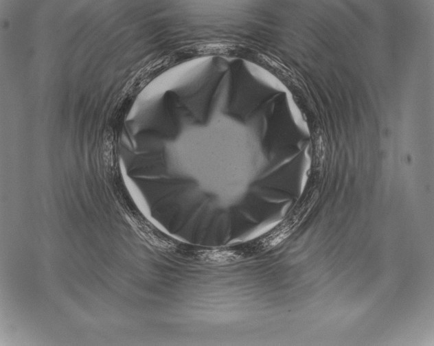 X0000076100379200610152349