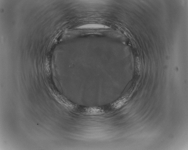 X0000076100380200610152349