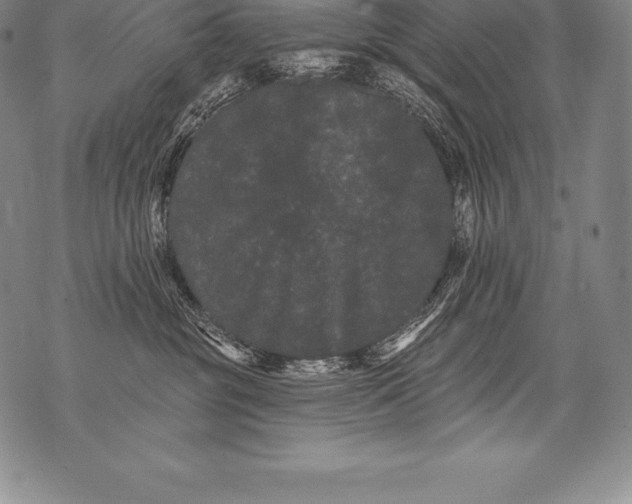 X0000076100381200610152349