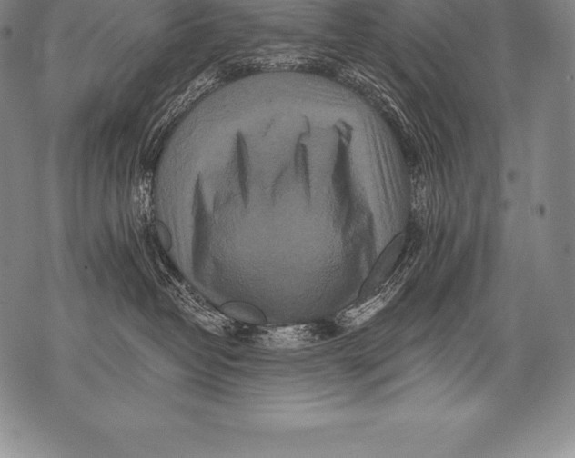 X0000076100382200610152349