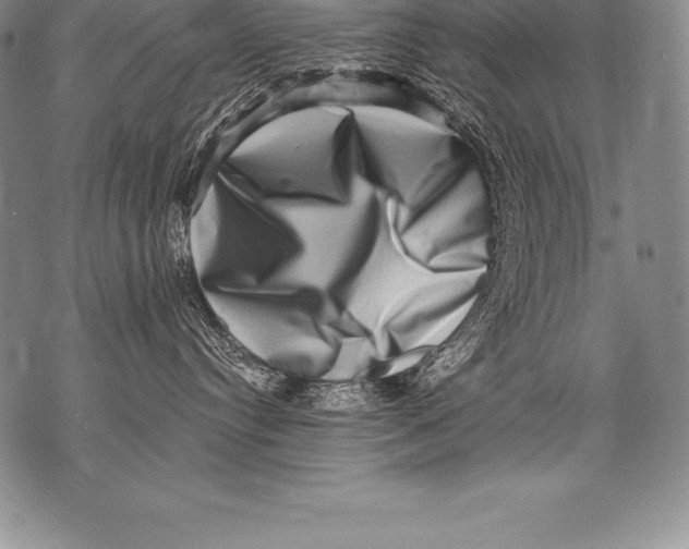 X0000076100384200610152349