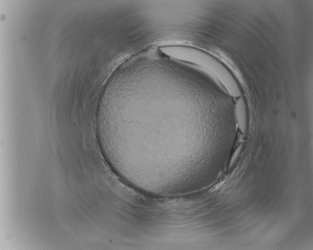 X0000076100385200610152349