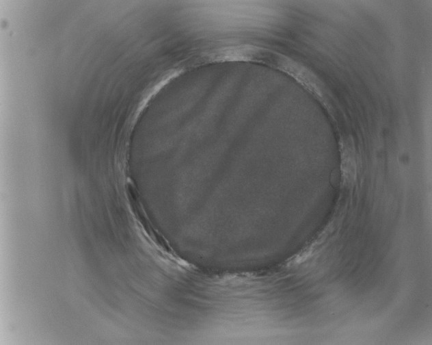 X0000076100386200610152349