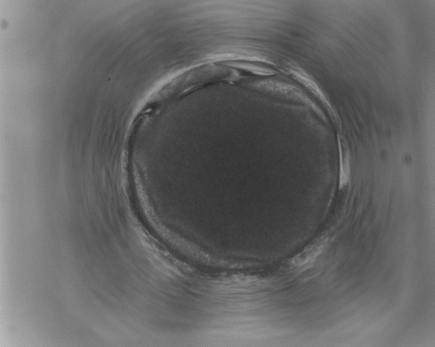 X0000076100387200610152349