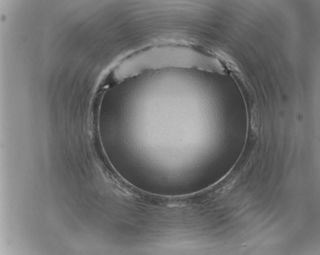 X0000076100388200610152349