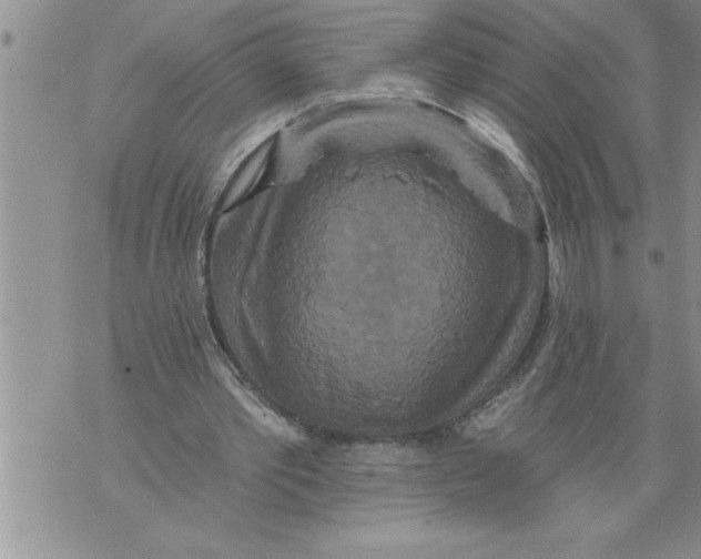 X0000076100389200610152349