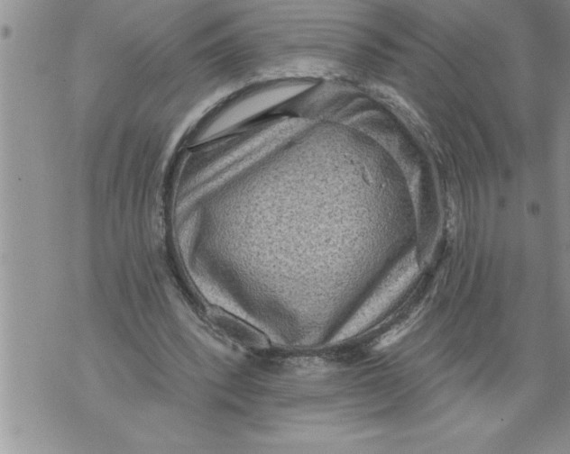 X0000076100392200610152349