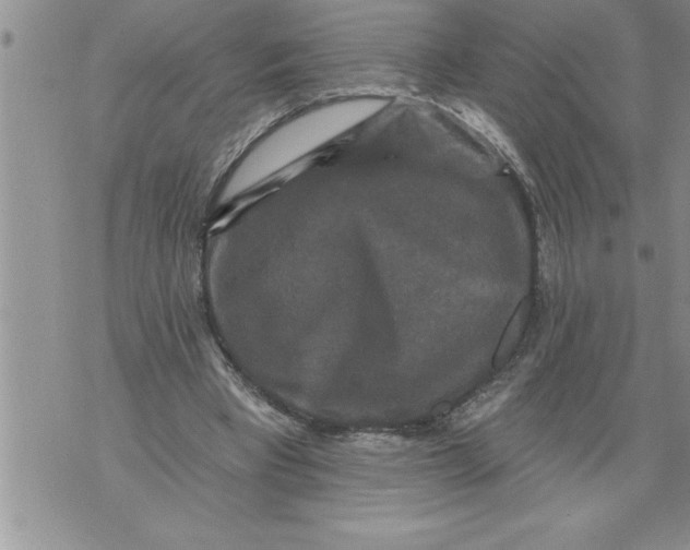 X0000076100393200610152349